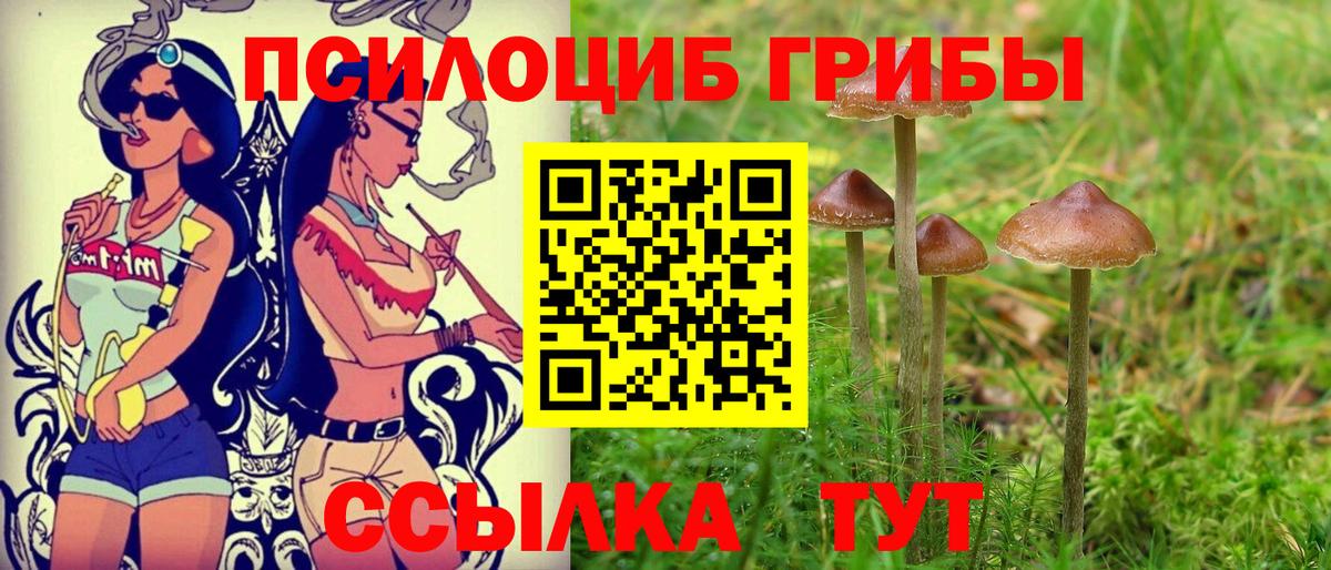 Галлюциногенные грибы мухоморы  Вход с VPN  Оренбург 